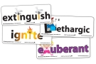Antonym Pictures
